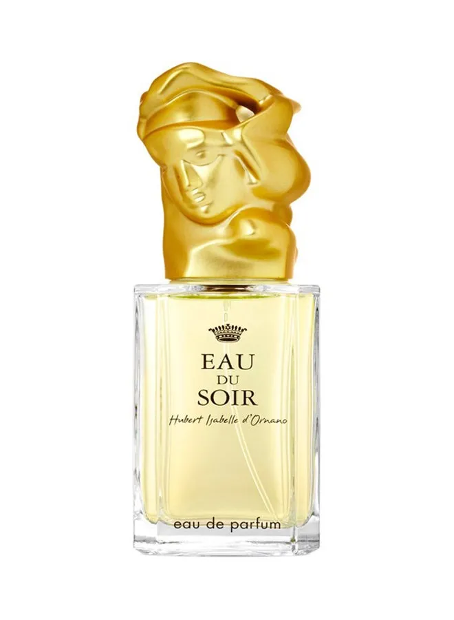 عطر مركز Eau Du Soir 100ملليلتر-1