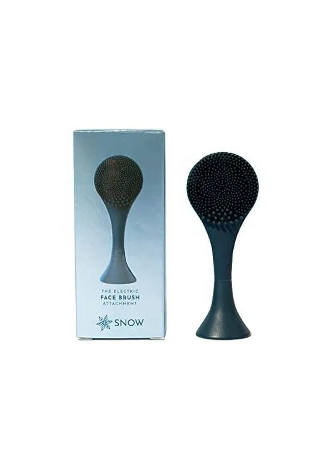 The Electronic Face Brush-1