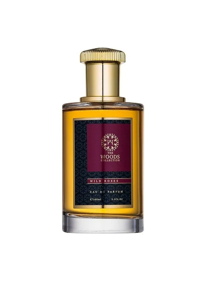 عطر وايلد روز 100ملليلتر-1